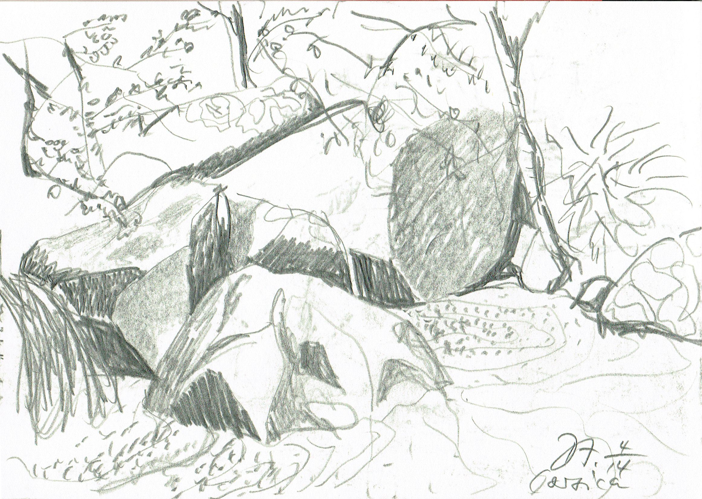 S6_5_w Description Image